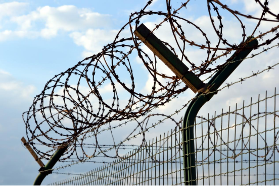 1772530108136704.png image.png